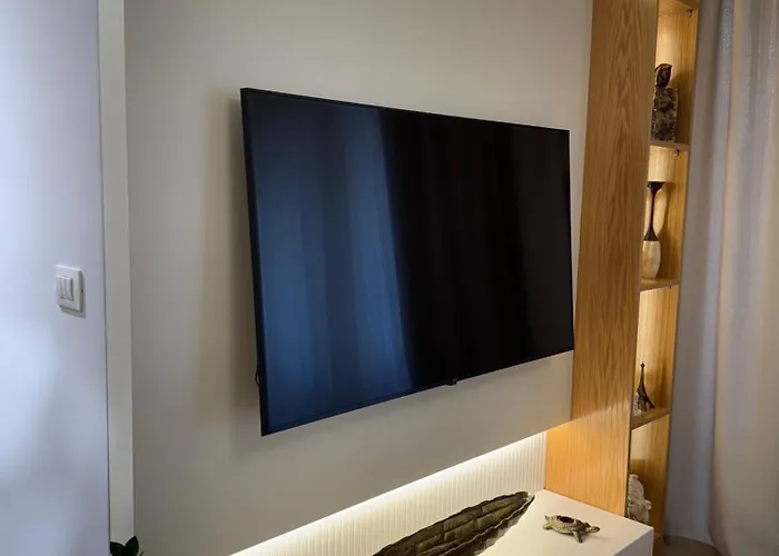 Fine Center * 地拉那